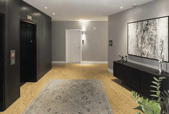 Nice Apartments in NW DC for Rent